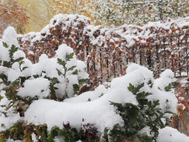 乌鲁木齐下雪了
