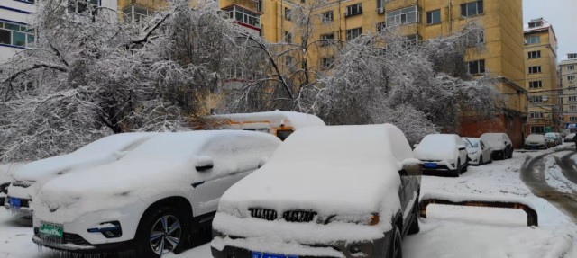 黑龙江暴雪