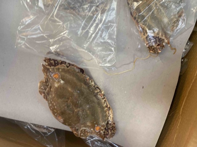 大连男子聚餐后醉酒睡街头被冻僵