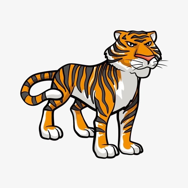 柳州动物园老虎骨瘦如柴?