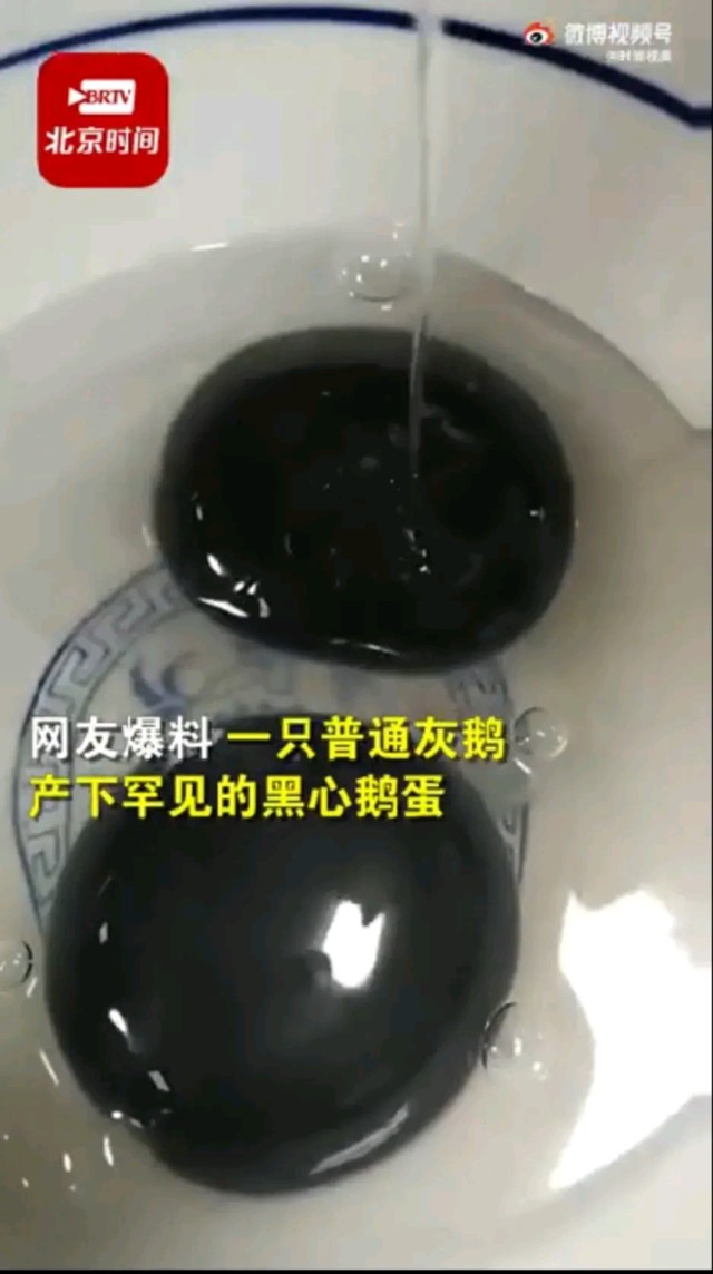 男子发现黑心鹅蛋,为啥是黑色