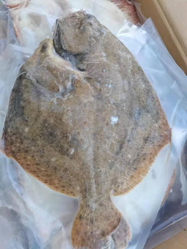 大连男子聚餐后醉酒睡街头被冻僵