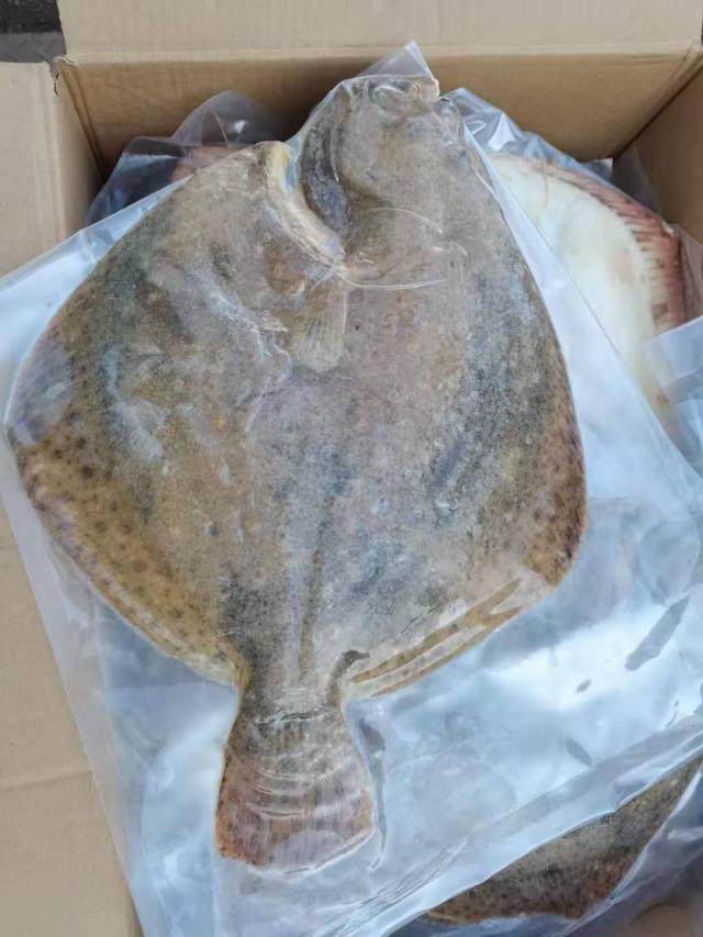 大连男子聚餐后醉酒睡街头被冻僵